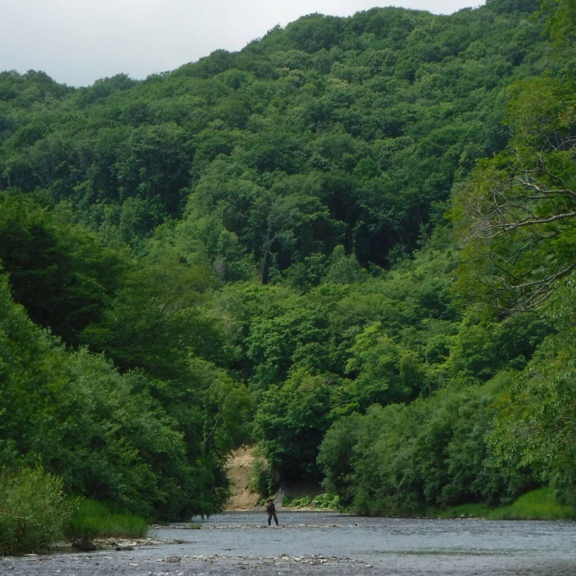 b0172805_2525711.jpg