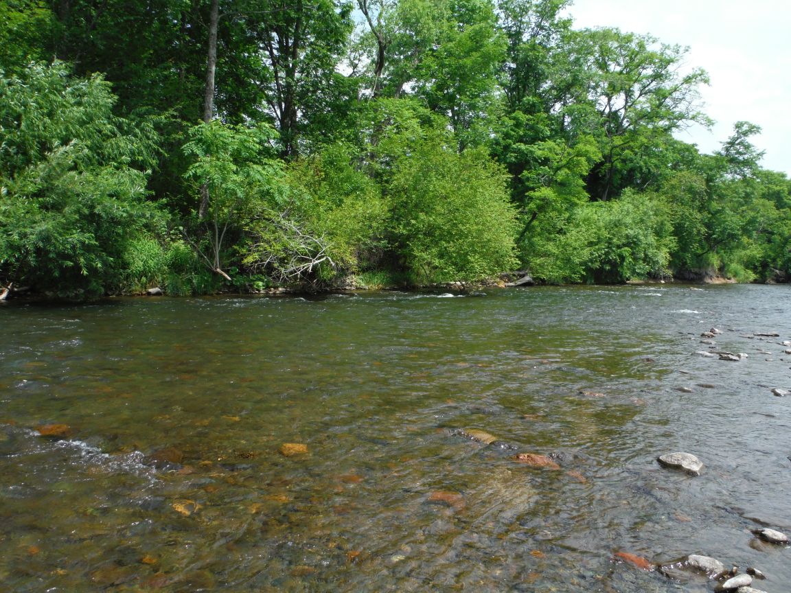 b0172805_295890.jpg