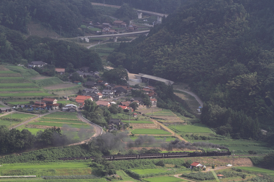 青い棚田　- 2016年夏・山口重連 -  _b0190710_0153972.jpg