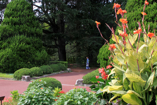 夏の植物園2_e0048413_20193493.jpg