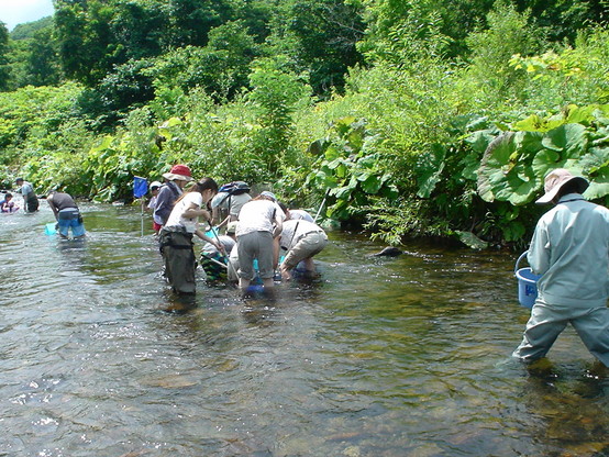 d0070814_16361387.jpg