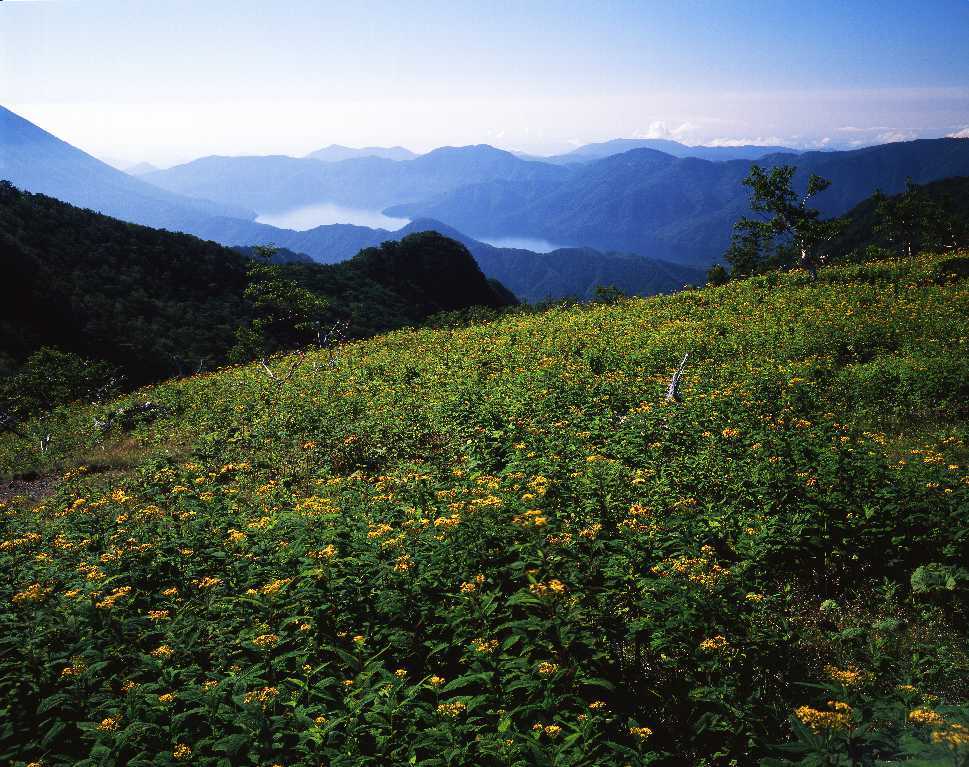 d0333714_06555977.jpg