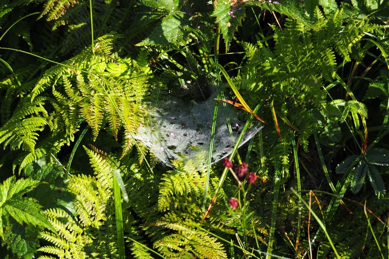 c0369423_22315936.jpg