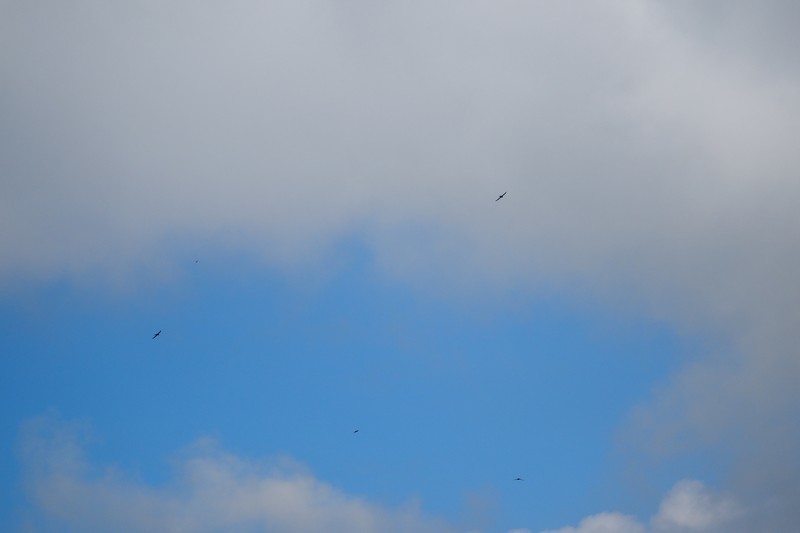 c0369423_22332593.jpg