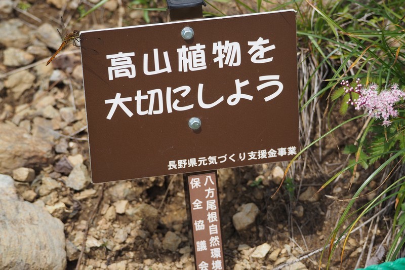 c0369423_22354669.jpg