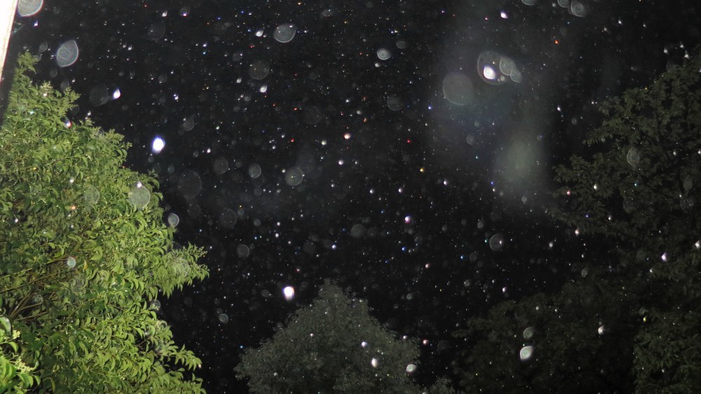 c0331825_13500551.jpg