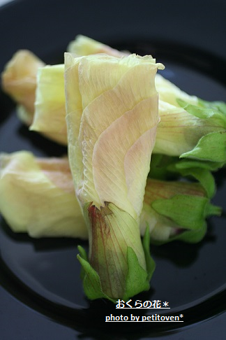b0110331_9541260.png