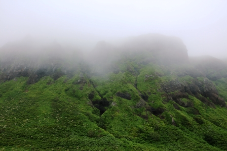 c0051032_20375812.jpg