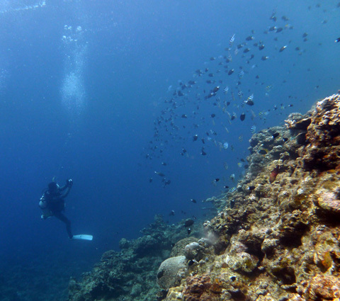 f0014842_18520444.jpg