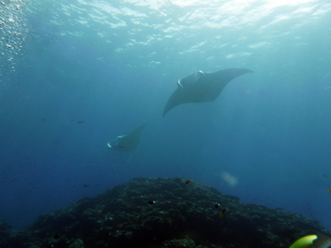 f0014842_18520580.jpg