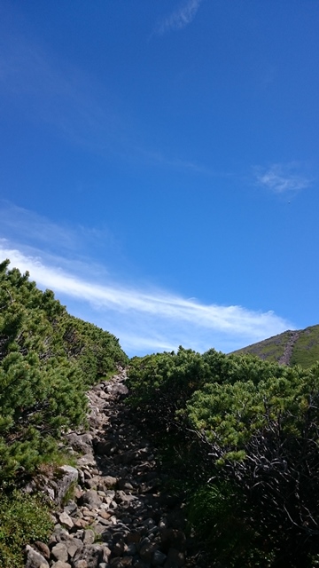 b0148050_14172725.jpg