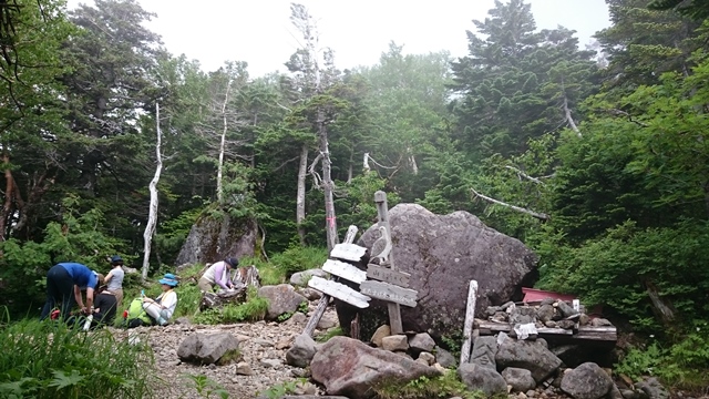 b0148050_1417533.jpg