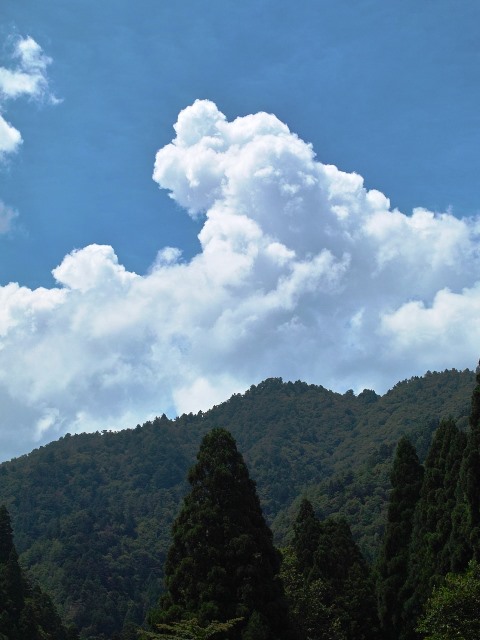 にゅうどう雲とギラギラ太陽が・・・高島市まちづくり推進会議_d0005250_16141860.jpg