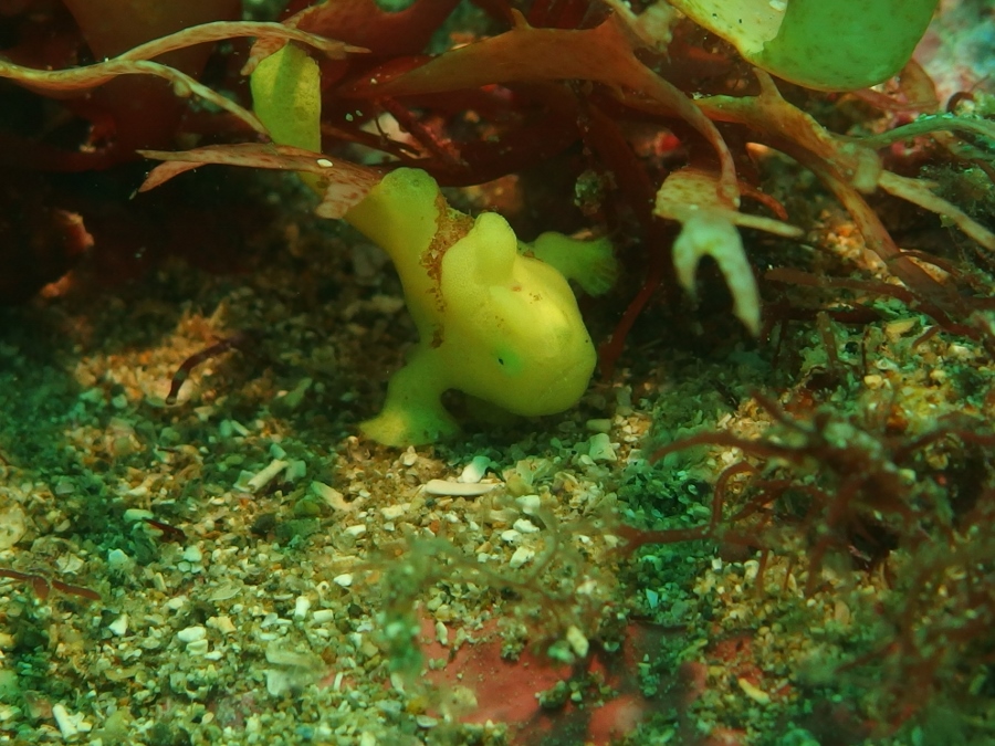 ひたすらまったりのつもりが・・・_b0117353_17312493.jpg
