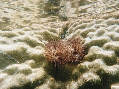 c0180460_659534.jpg