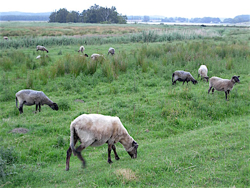 e0357367_015155.jpg