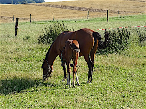 e0357367_023545.jpg