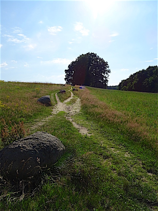 e0357367_1283646.jpg