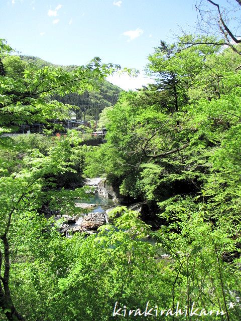 e0173670_1611478.jpg