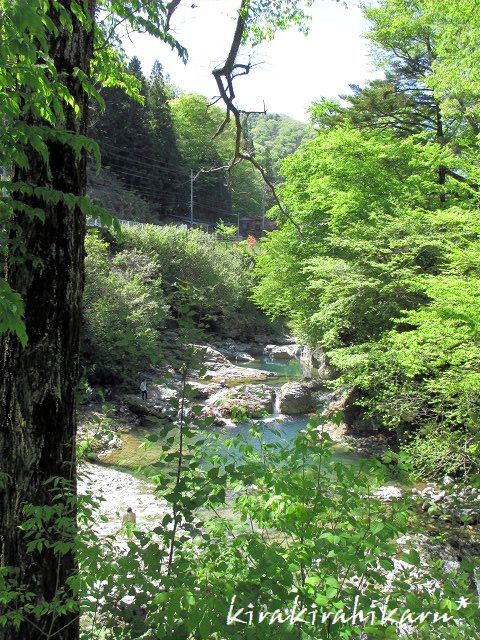 e0173670_162769.jpg