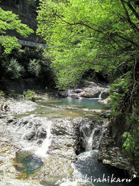 e0173670_168119.jpg