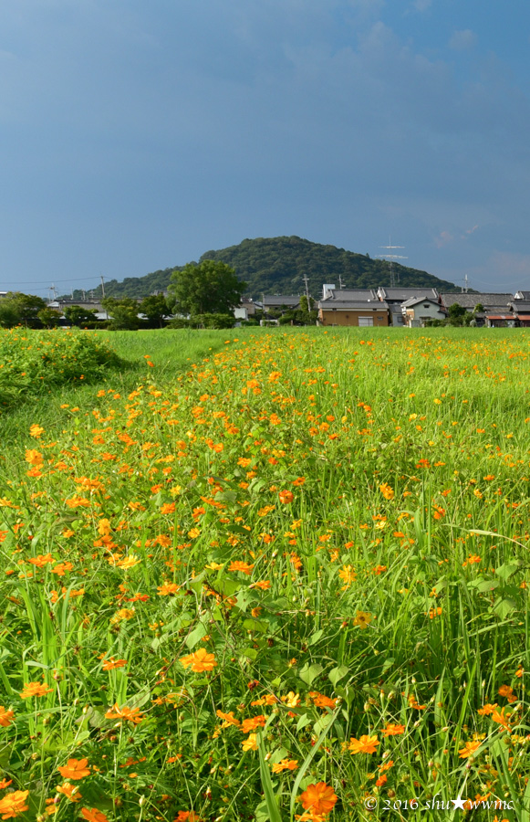 a0142976_172555.jpg