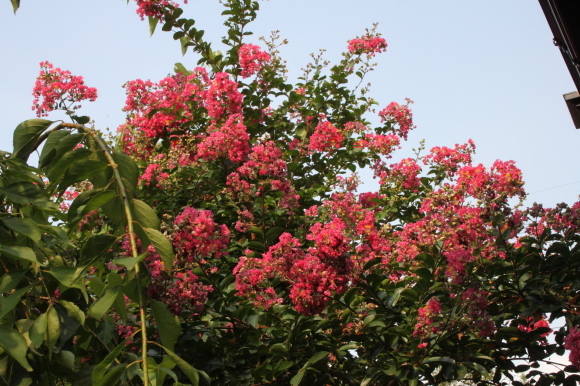 b0224178_07263670.jpg