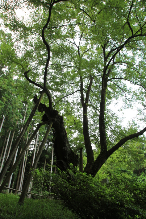 c0358784_16415312.jpg