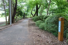d0183387_17495655.jpg