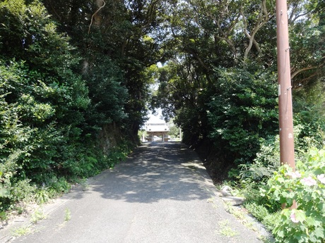 e0264287_1612166.jpg