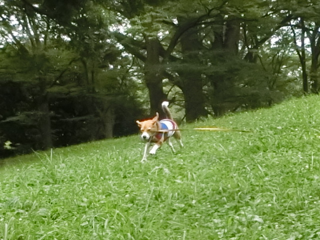 a0319693_814441.jpg