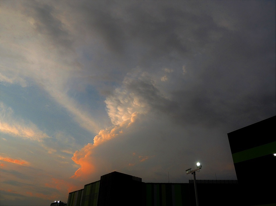 c0265095_21330167.jpg