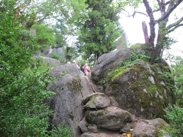 a0166196_1624365.jpg