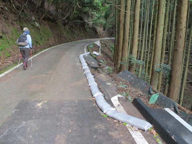 ７年ぶりの古処山　2016.7.31（日）_a0166196_1673498.jpg