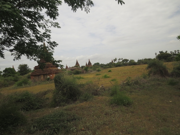 f0033598_22255851.jpg