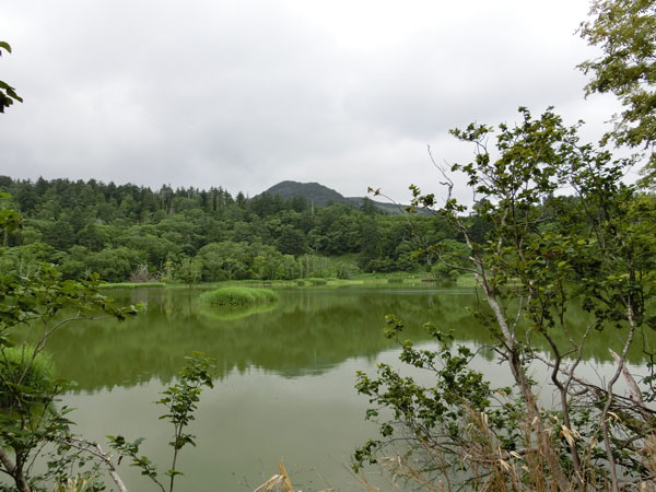 ポルシェで北海道旅行：2016-3　利尻島_e0131399_21442564.jpg