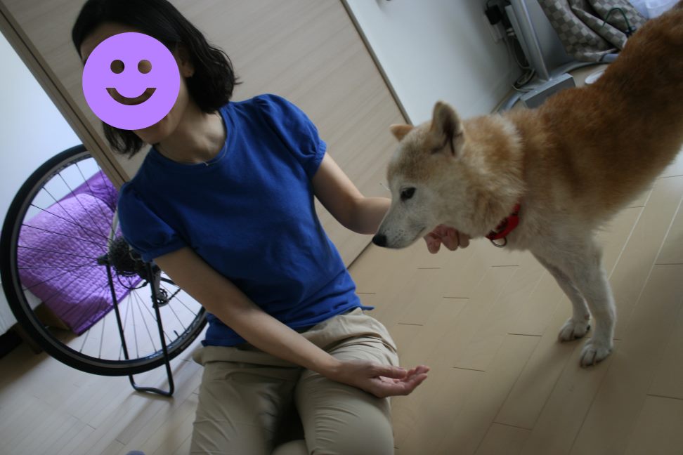 はなこちゃん 新生活スタート!_f0242002_9262821.jpg