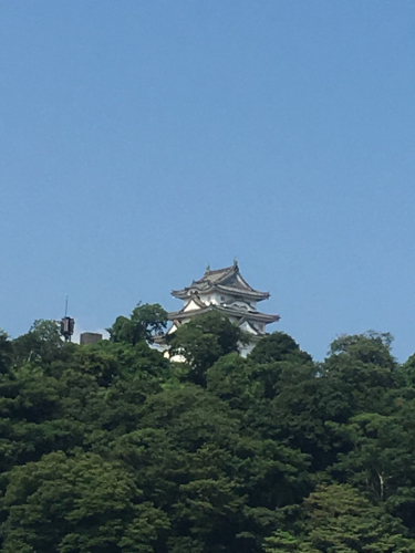 愛媛からおはようございます🌻_c0162404_09592929.jpg
