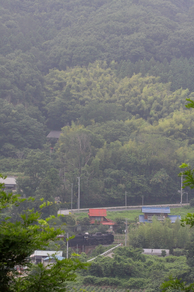 b0190710_17892.jpg
