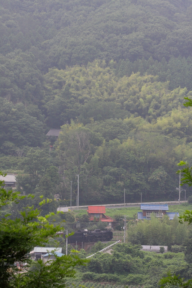 隙間に汽車が見えた　- 2016年夏・秩父 -  _b0190710_17892.jpg