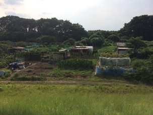 「秋雛導入準備 ①-2016」 _a0120513_20291587.jpg