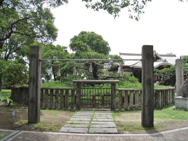 d0287413_10404795.jpg