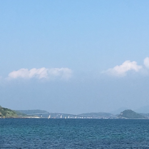 f0170815_13371177.jpeg