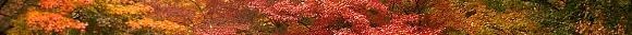 a0254818_11204038.jpg