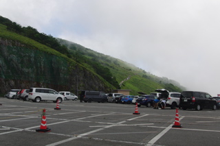 伊吹山お花畑【滋賀の四季】_b0367918_17565831.jpg