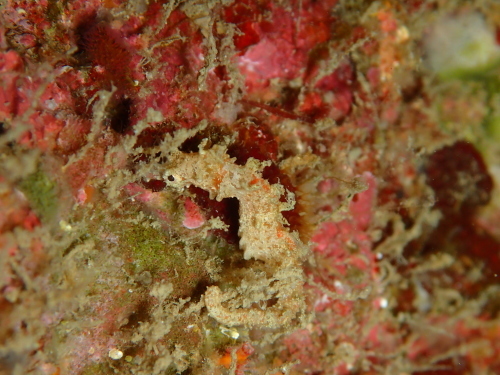 c0115421_20403090.jpg