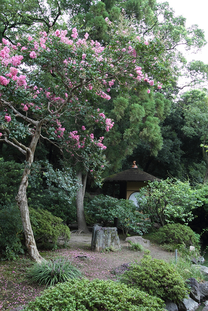 百日紅の風景 －京都御苑・拾翠亭（後編）－_b0169330_7151197.jpg