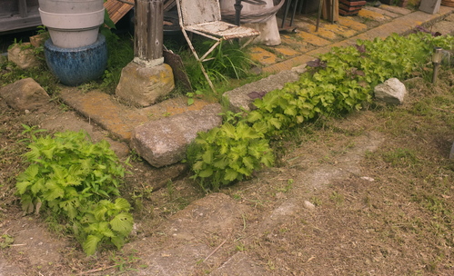 c0308431_21564499.jpg