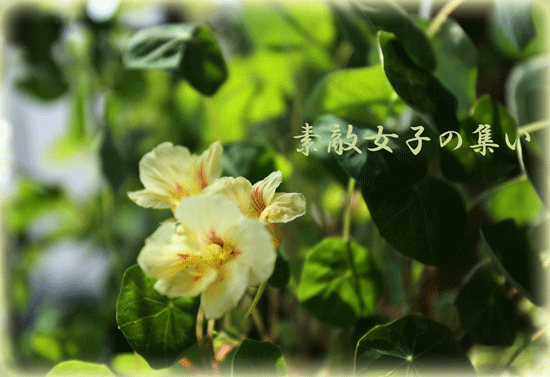 a0245136_15293828.gif