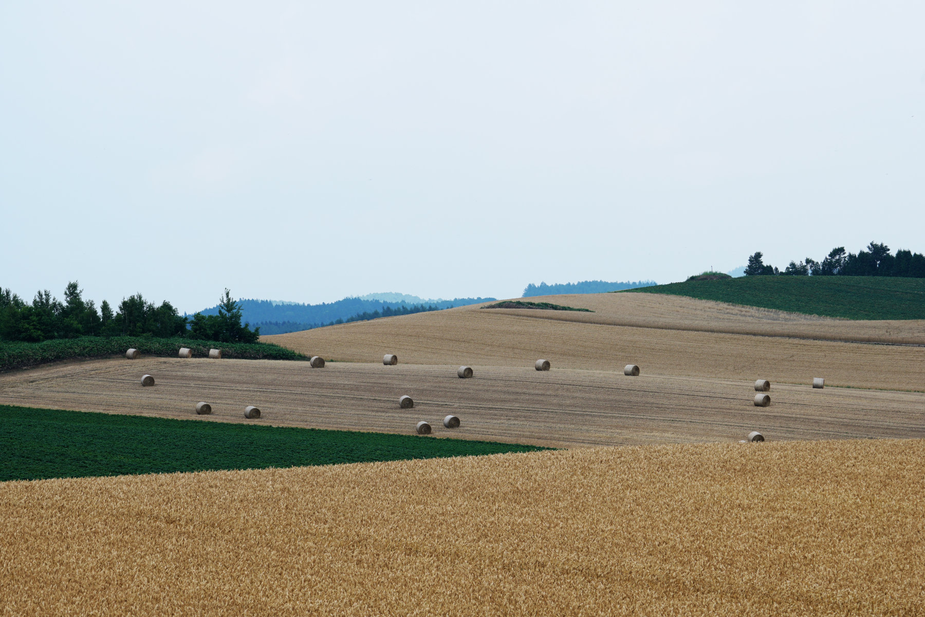 d0100048_2204629.jpg